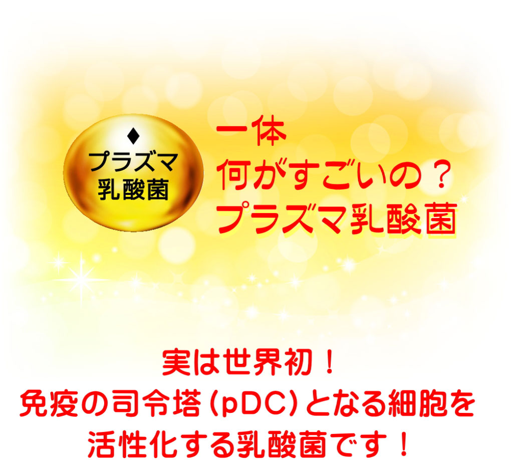 一体何がすごいの？プラズマ乳酸菌。実は世界初！免疫の司令塔（ｐDC）となる細胞を活性化する乳酸菌です！