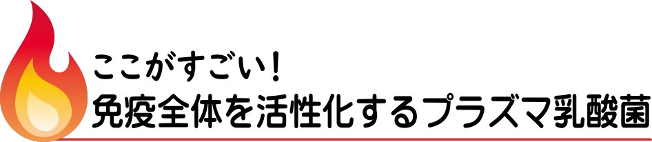 ここがすごい！免疫全体を活性化するプラズマ乳酸菌のタイトル