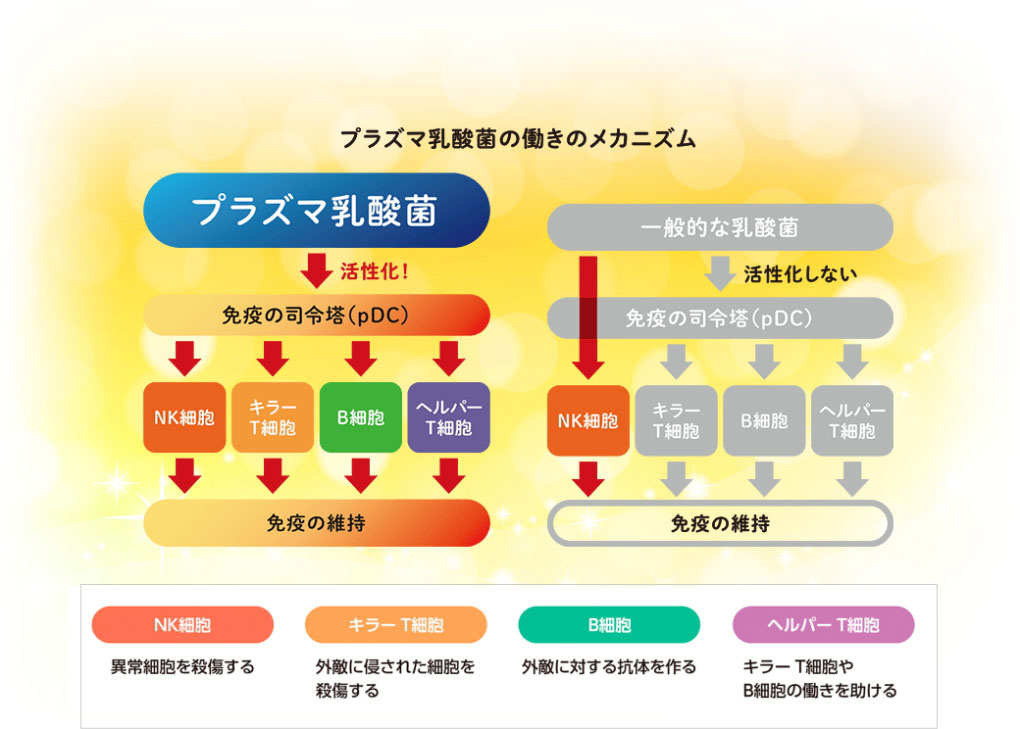 プラズマ乳酸菌の働きのメカニズム