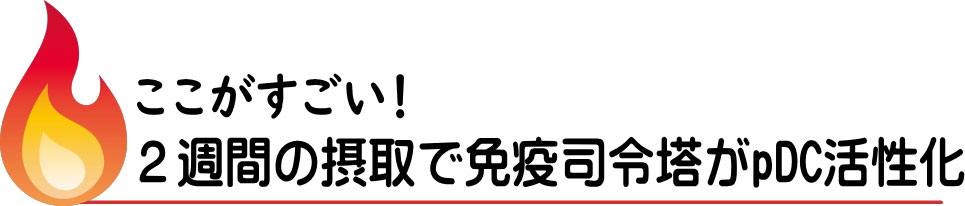 ここがすごい！2週間の摂取で免疫指令塔がpDC活性化のタイトル