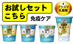 小岩井免疫ケアヨーグルト（プラズマ乳酸菌ヨーグルト）が新しくなりました