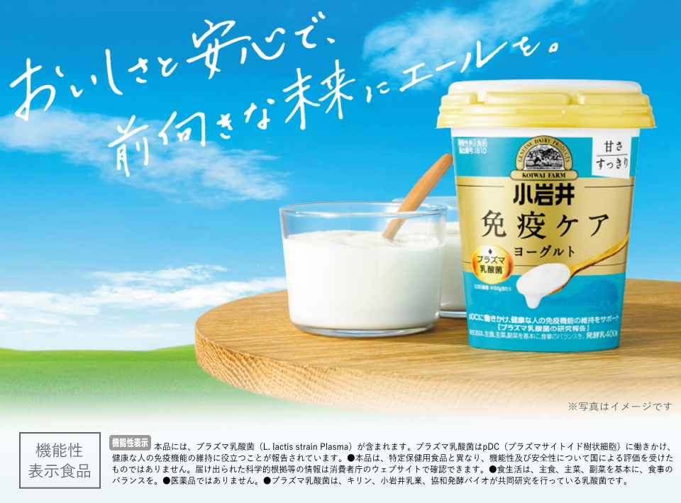 小岩井免疫ケアプラズマ乳酸菌ヨーグルト400gイメージ画像