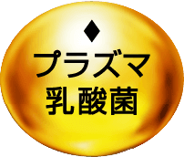 小岩井プラズマ乳酸菌とは